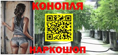 прущие грибы Балаково