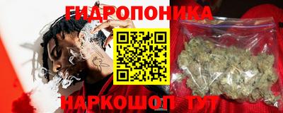прущие грибы Балаково