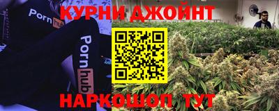 прущие грибы Балаково