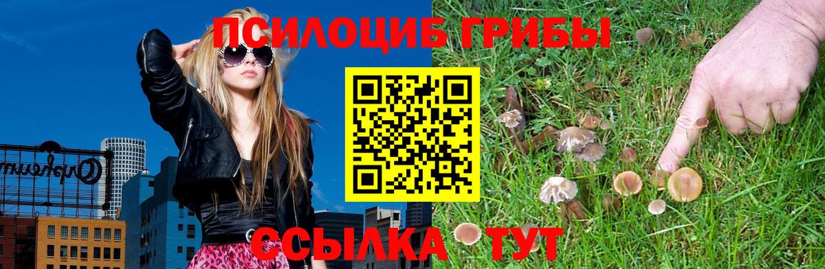 Димитровград  Псилоцибиновые грибы ЛСД  Вход с VPN 