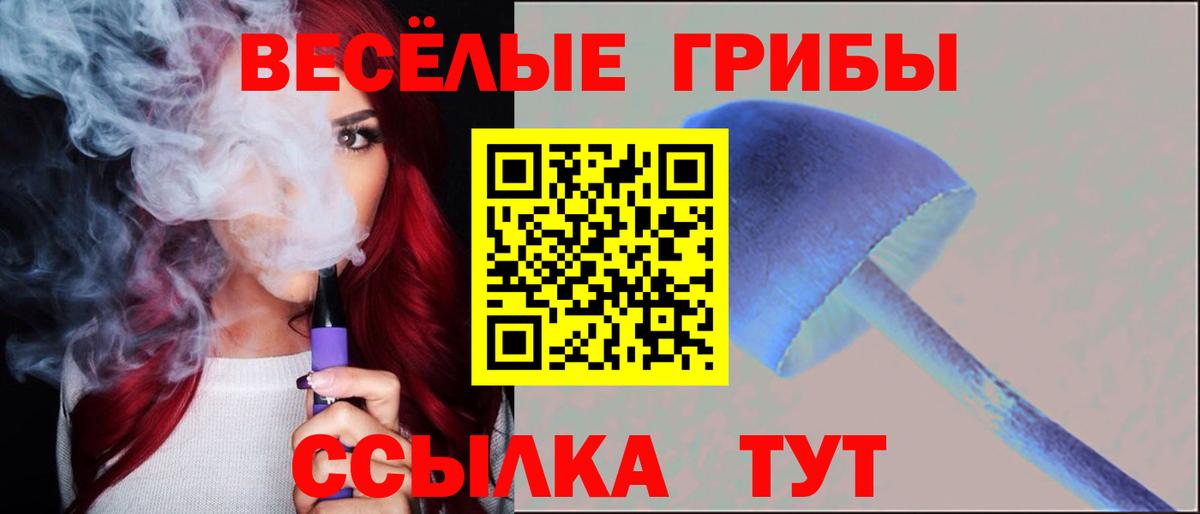 Псилоцибиновые грибы MAGIC MUSHROOMS Димитровград